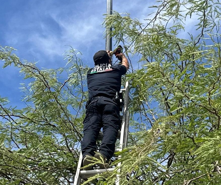 WhatsApp Image 2025-05-21 at 2.17.37 PM